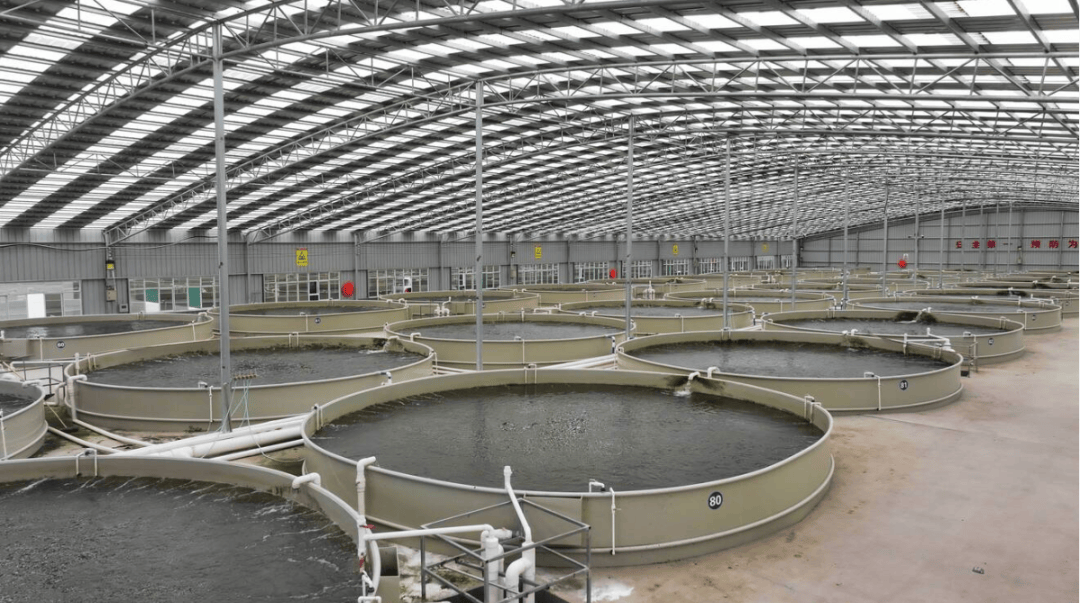 陸良水產大縣顯實力，水產品量產值雙攀升 920天的辛勤耕耘獲9.16億元碩果
